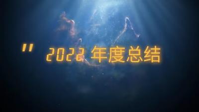 软件工程专业大学生的一年半 | 2022年度总结